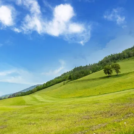 In Near Slopes, Cleaning Included *